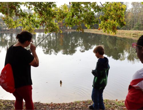 Catching Your First Fish at the Interlaken Wildlife Center